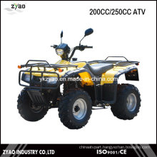 200cc Air Cooled/Water Cooled ATV Quad, 250cc Farm ATV with High Quality China ATV Hot Selling